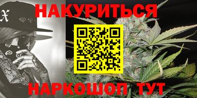 прущие грибы Лесосибирск